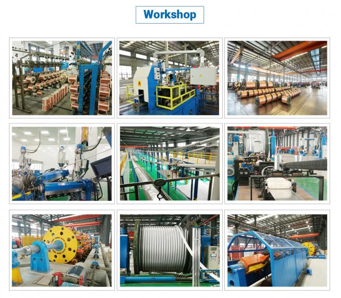 127/220kv 1600mm2 Cu/XLPE/CAS/HDPE (PVC) Single-Core Copper/Aluminum XLPE High Voltage Cable with Aluminium Corrugated Sheath